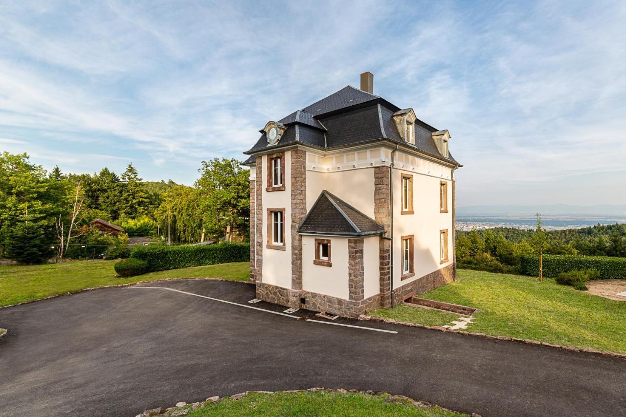 Gites Openroc - Vue Imprenable Sur Colmar トロワ・エピ エクステリア 写真