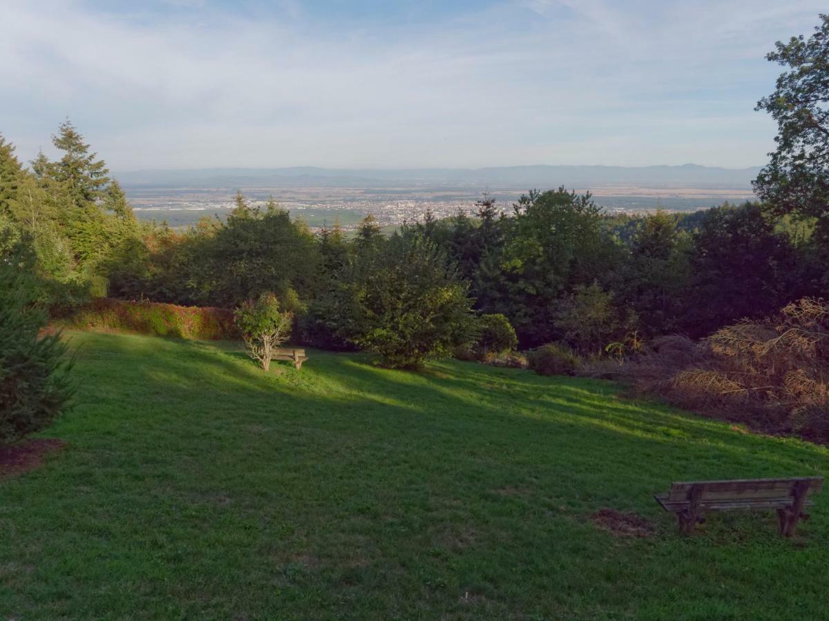 Gites Openroc - Vue Imprenable Sur Colmar トロワ・エピ エクステリア 写真